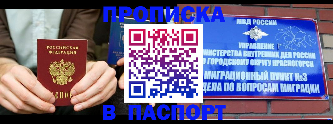 где прописаться в Димитровграде